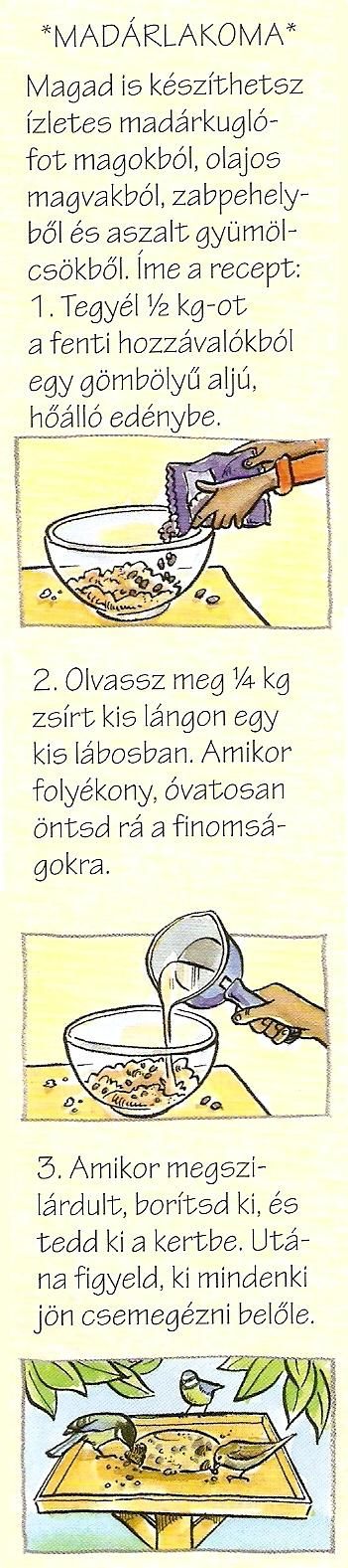 madarlakoma.jpg